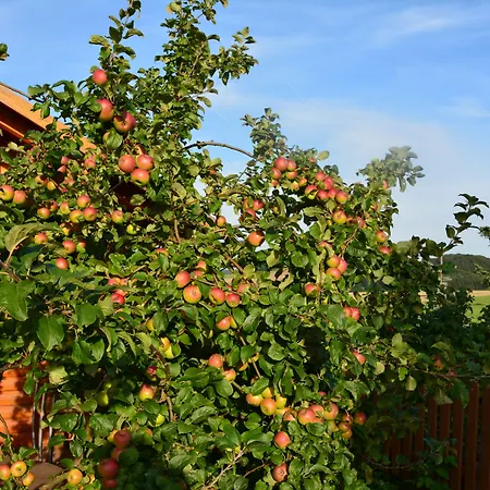 Couette-café Gaestehaus Celine