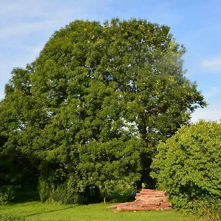 Gaestehaus Celine Отель типа 