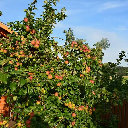 Gaestehaus Celine Meuspath