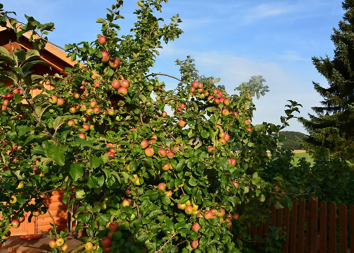 Couette-café Gaestehaus Celine