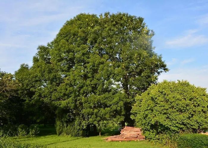 Gaestehaus Celine 3*