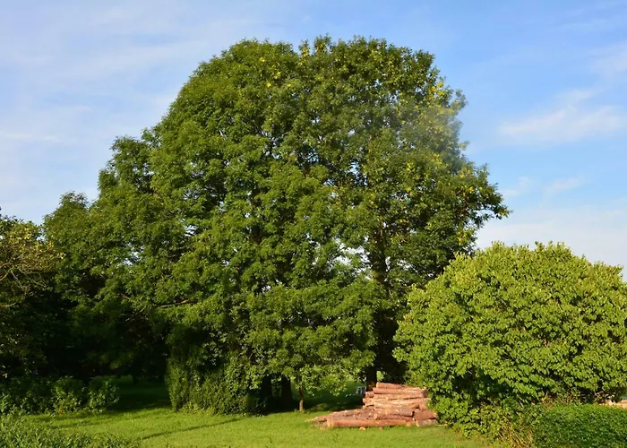 Gaestehaus Celine Bed and breakfast Meuspath